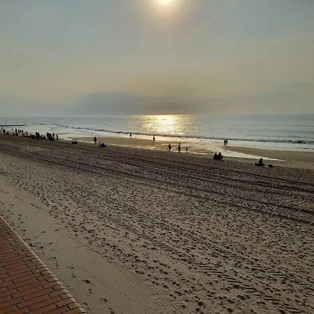 In Auf Sylt 아파트 베스터란트