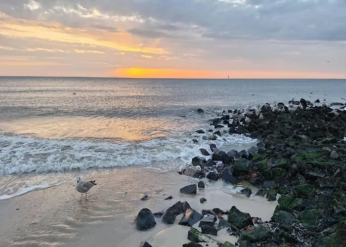 Appartement In Auf Sylt Westerland